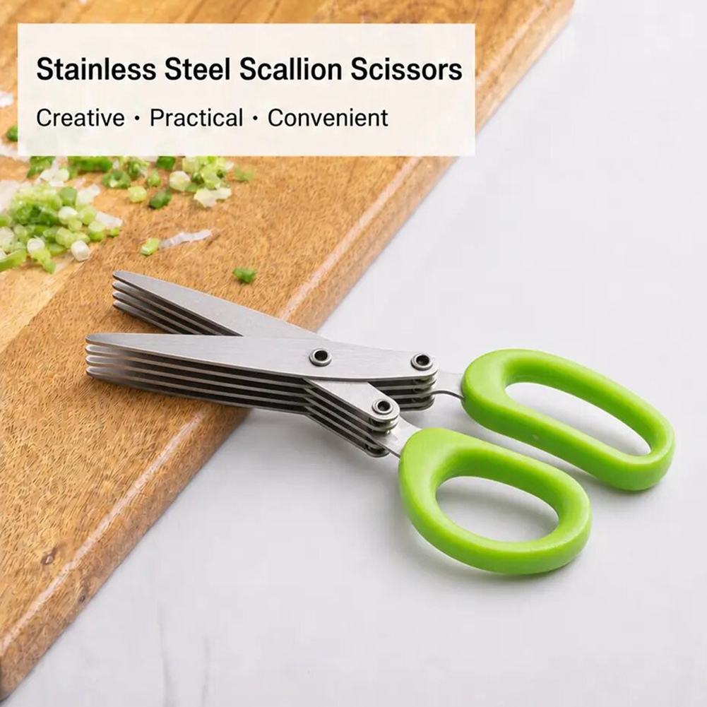 5-Klingen-Edelstahl-Kräutersch – Herb Scissors 5 Blade Bewertung und Preis