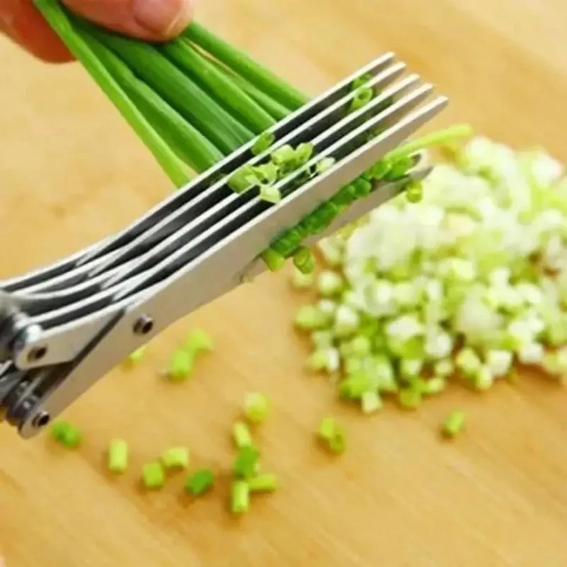 Zeitsparende Kräuterschere mit – Herb Scissors 5 Blade Bewertung und Preis