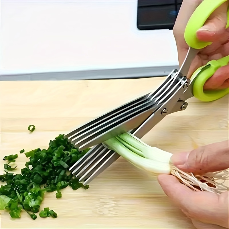 5-Klingen-Aktenzerkleinerungss – Herb Scissors 5 Blade Bewertung und Preis