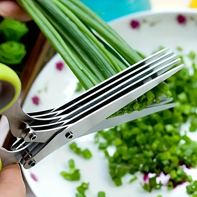 Mehrklingen-Kräuterschere aus  – Herb Scissors 5 Blade Bewertung und Preis