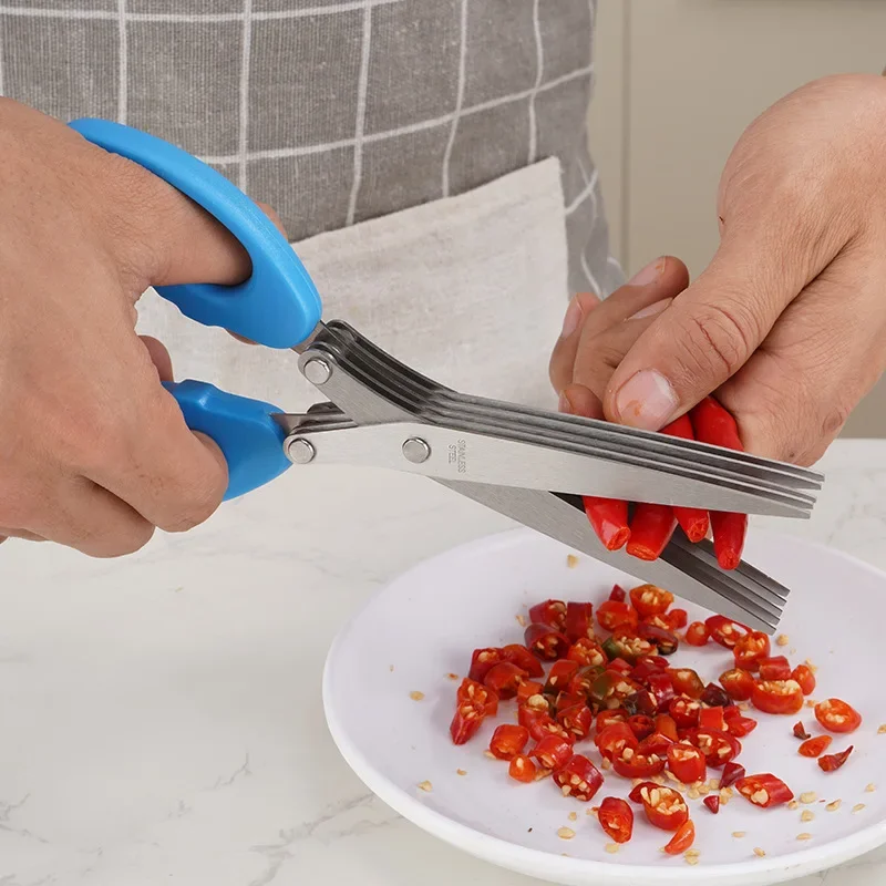 Küchenschere, multifunktional, – Herb Scissors 5 Blade Bewertung und Preis
