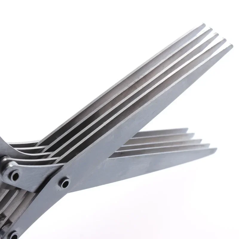5-Blatt-Küchenschere, Frühling – Herb Scissors 5 Blade Bewertung und Preis